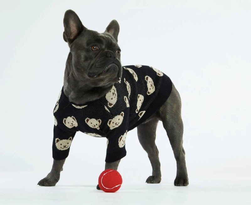 Black Teddy Dog Sweater