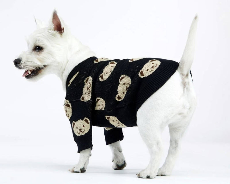 Black Teddy Dog Sweater