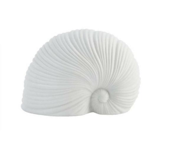 Sea Shell Decorative Ornament