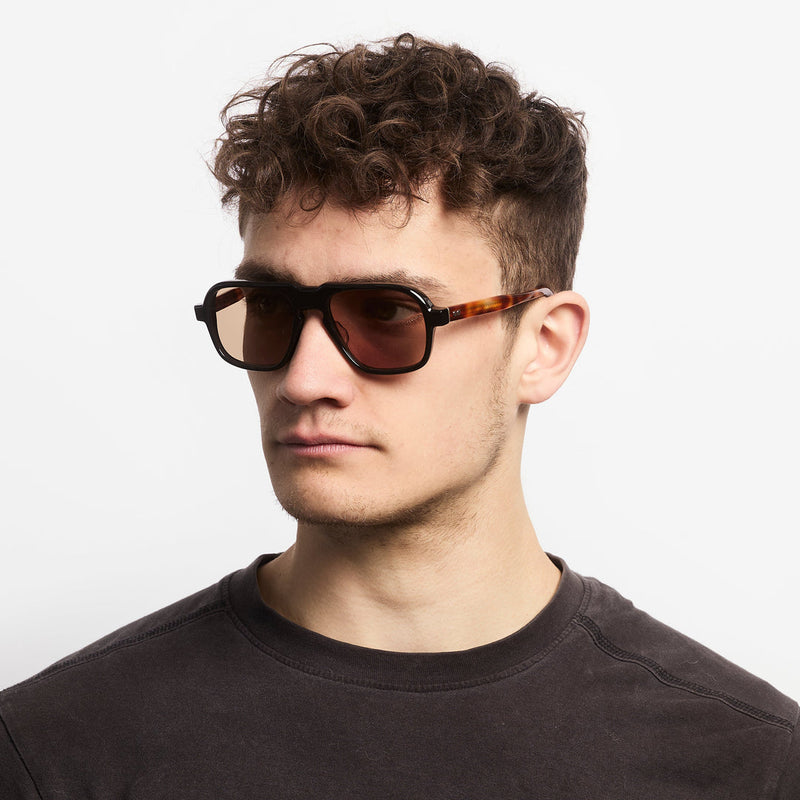 Fraser - Tortoise