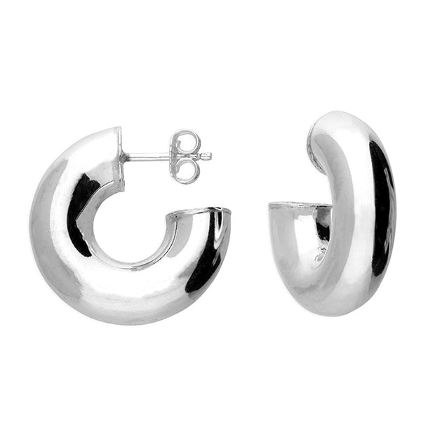 Chubby Curve Hoop Earrings