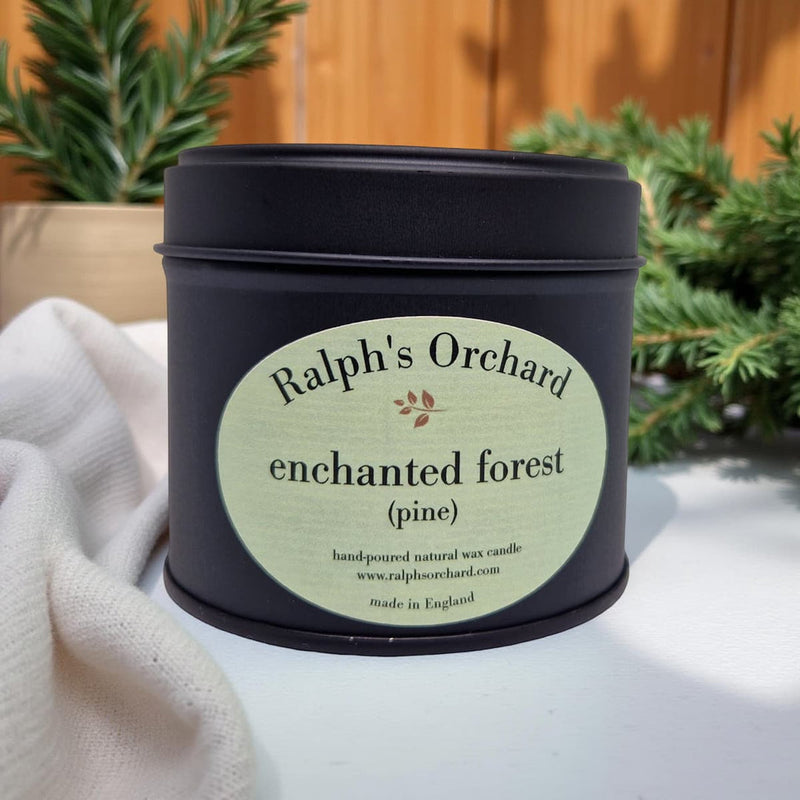 Candle tin labeled 'Ralph's Orchard Enchanted Forest Pine' on a light surface with plants in the background.
