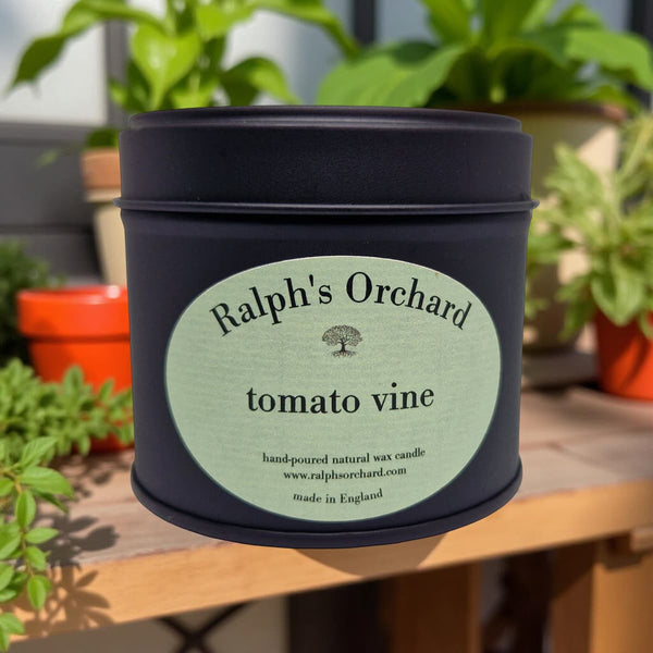 Candle in a black tin labeled 'Ralph's Orchard tomato vine' with plants in the background.