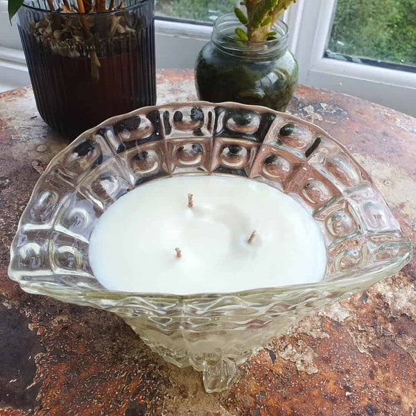 Candle in a decorative glass holder on a textured surface with plants in the background