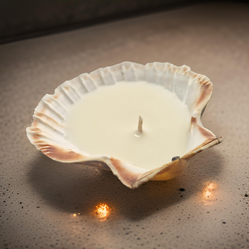 scallop shell candle