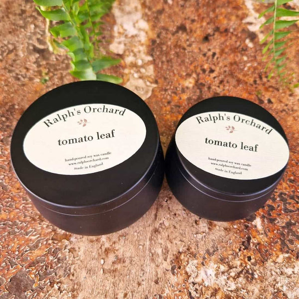 Two containers of 'Ralph's Orchard tomato leaf' candles on a textured surface with greenery.