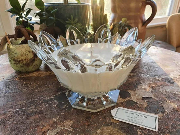 Decorative candle in a crystal holder on a textured surface with plants in the background