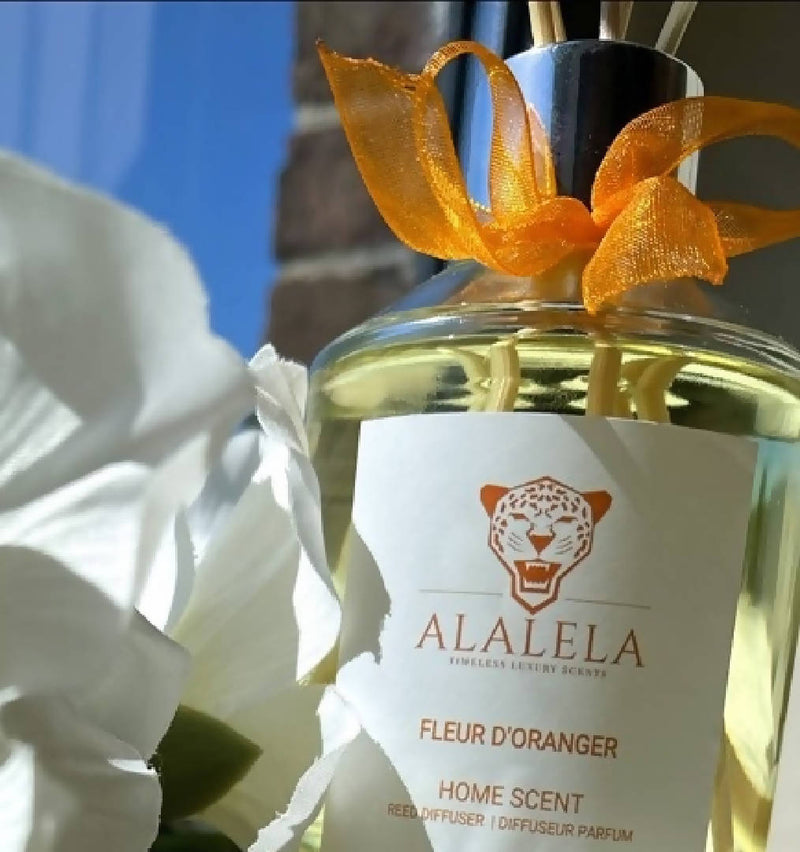 Scented reed diffuser of Parfum de Grasse by ALALELA