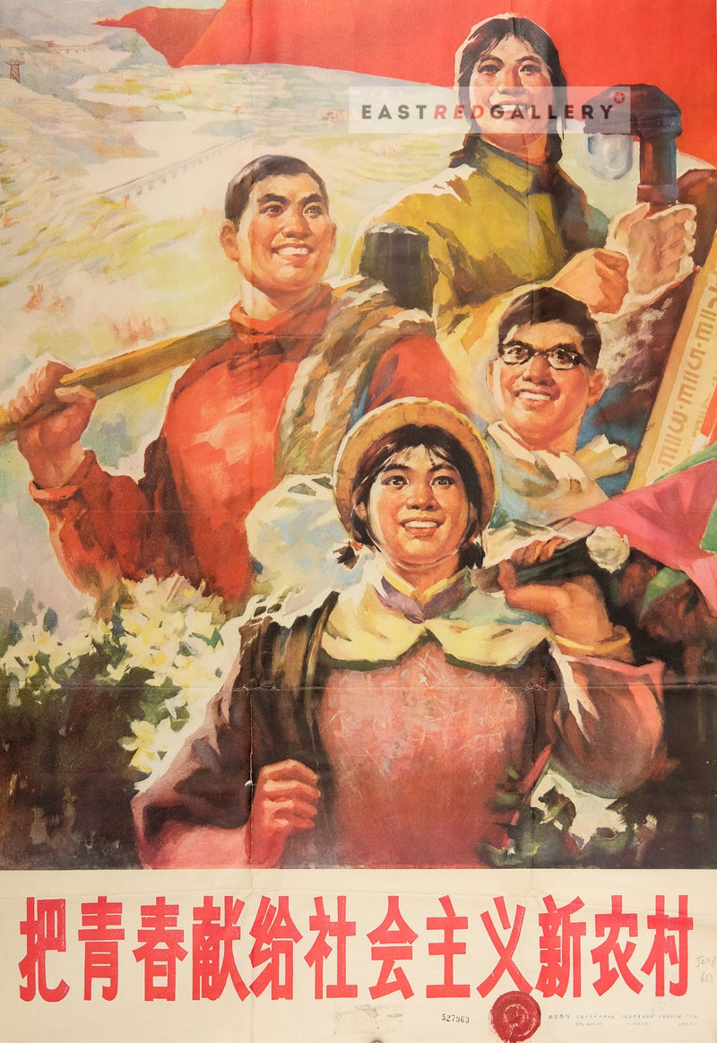 Dedicate your youth to the new socialist countryside