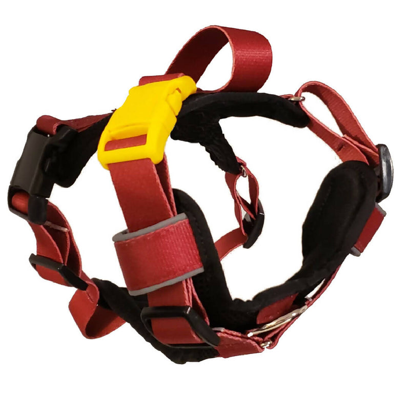 FRONT Harness