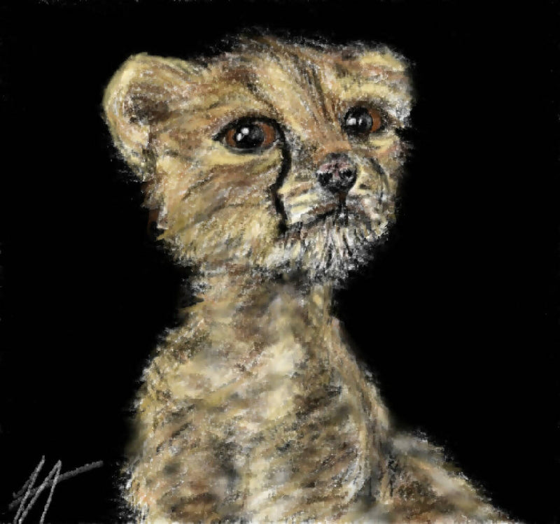 “Baby Cheetah Cub” - Original Sketch Glass Print