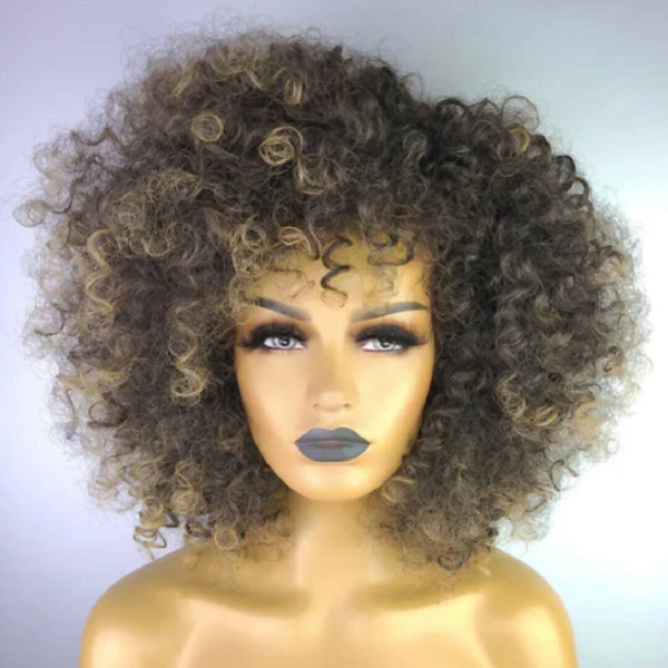Afro Curly Highlight Wigs with Afro Hairline, 4/27, 14"