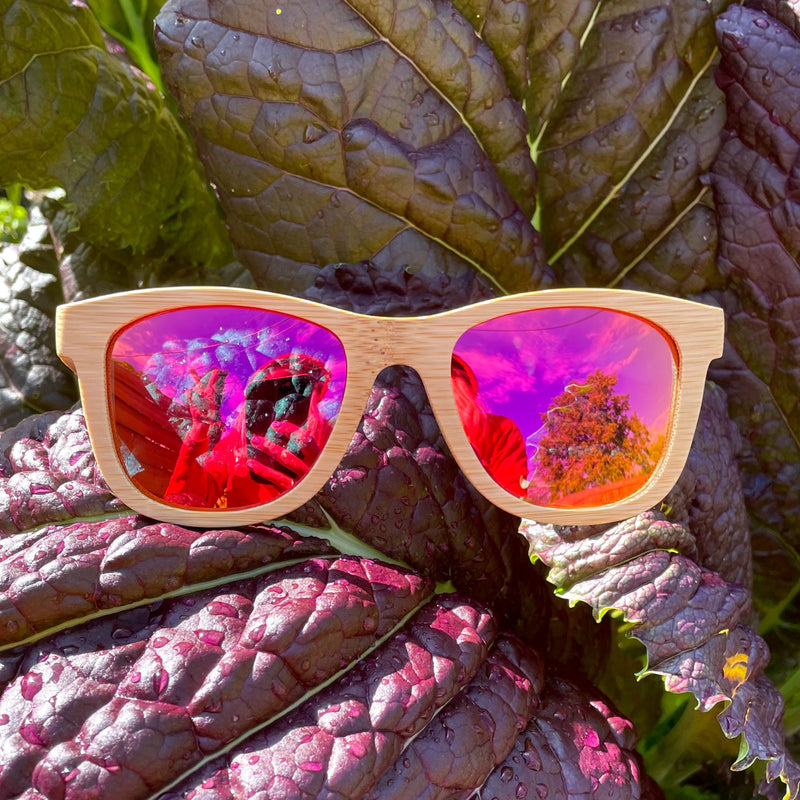 Tropical Paradise- All Wood Pink/Gold Polarized SAARA Shades