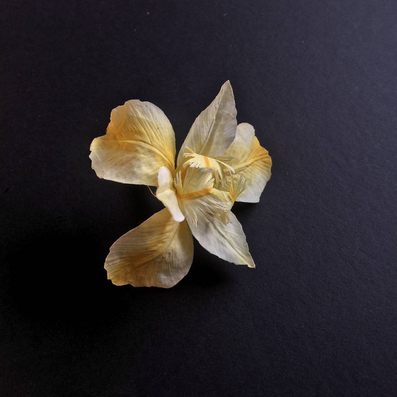 Iris flower brooch
