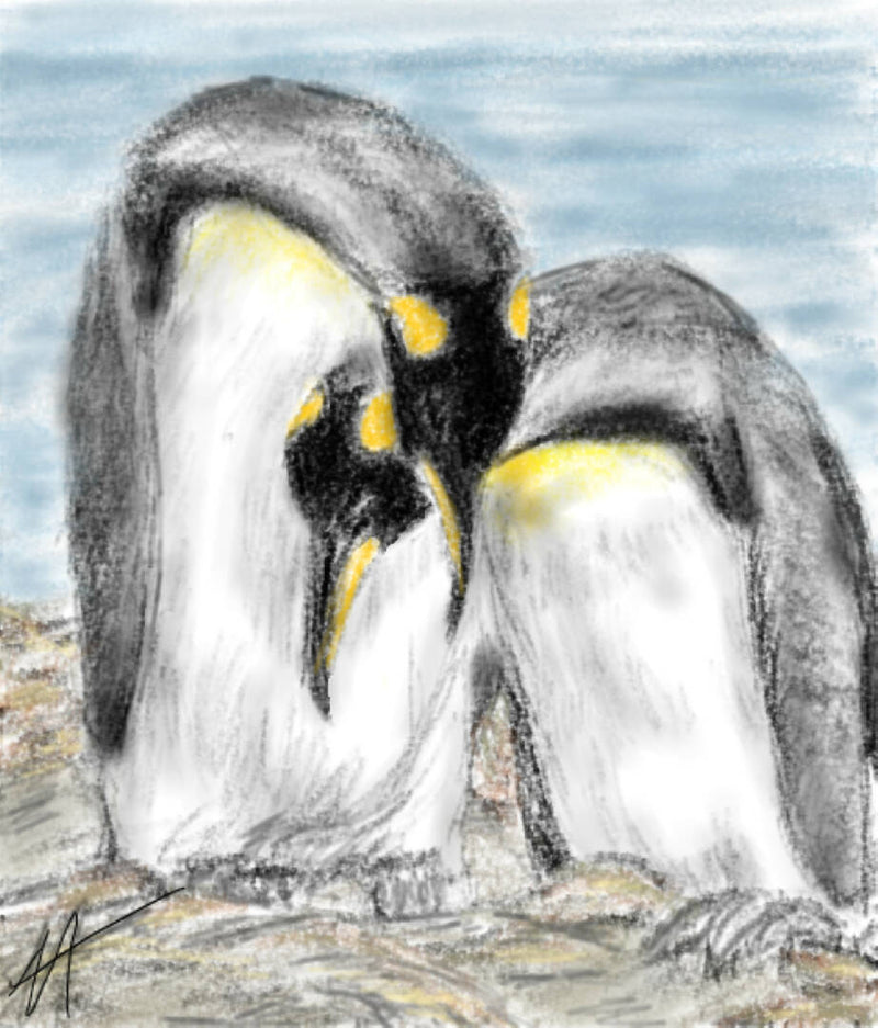“Penguin Couple” - Original Sketch Glass Print