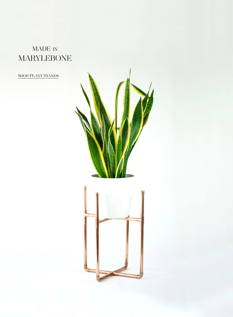 Sophie: Handmade Plant Stand In Copper In Three Sizes