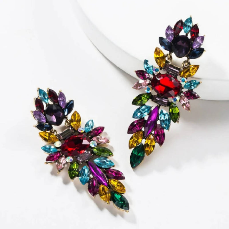Multicolour Acrylic Earrings
