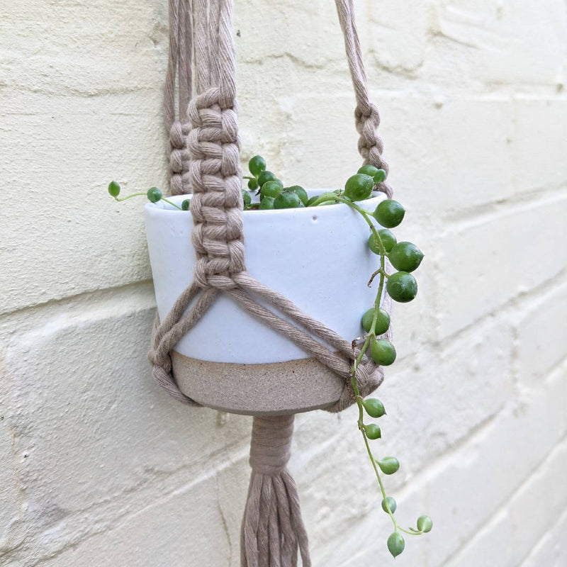 Mini Plant Hanger Kit