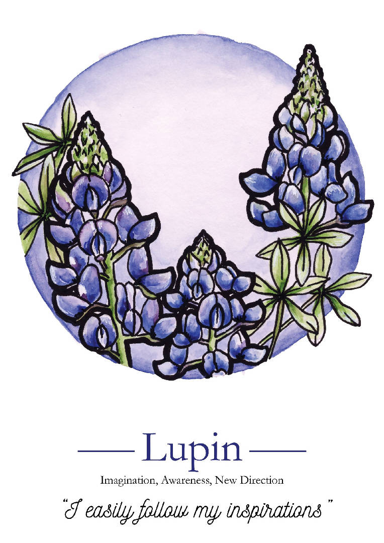 Lupin "Inspiration" Print