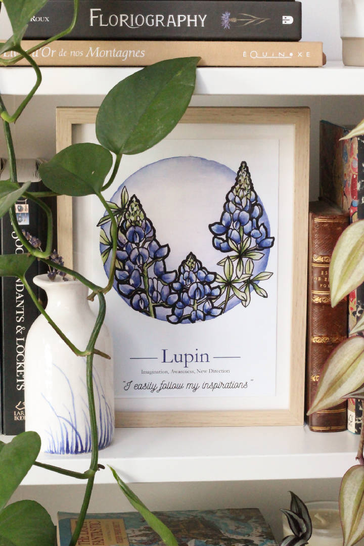 Lupin "Inspiration" Print