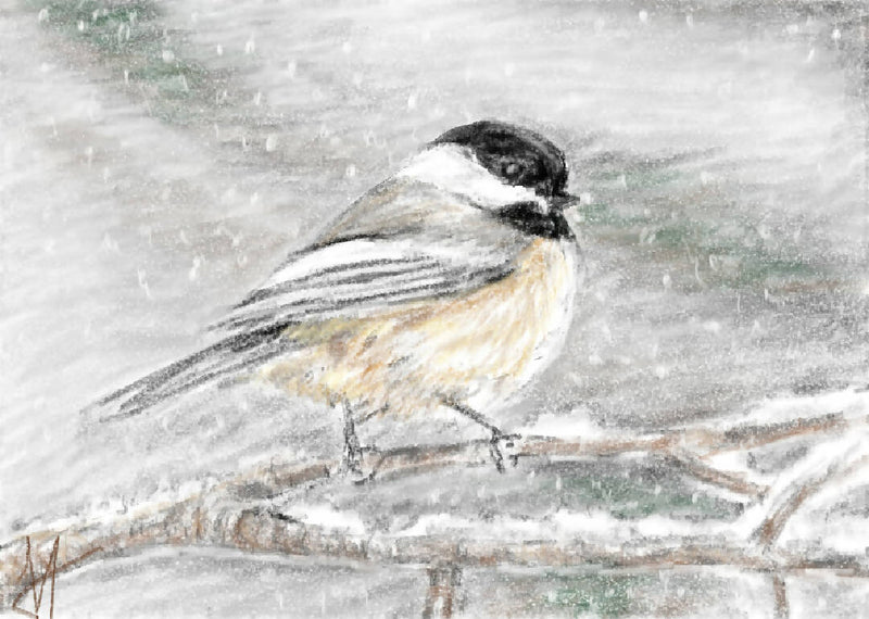 "Winter Chickadee" - Original Sketch Glass Print