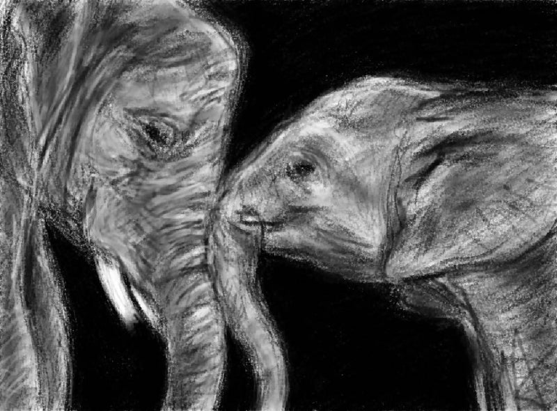 “Elephant Cuddle” - Original Sketch Glass Print