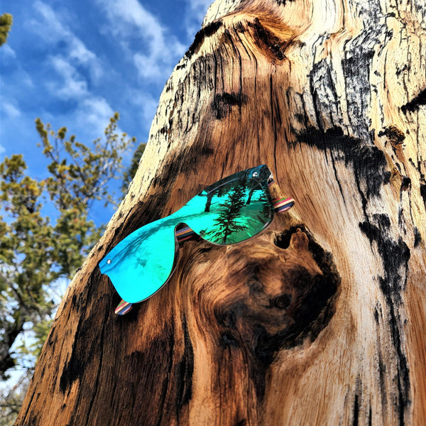 emerald sky Saara shades sitting on a tree and you can see the reflection of a pine tree.