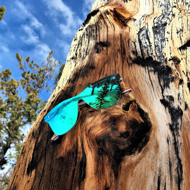 emerald sky Saara shades sitting on a tree and you can see the reflection of a pine tree.