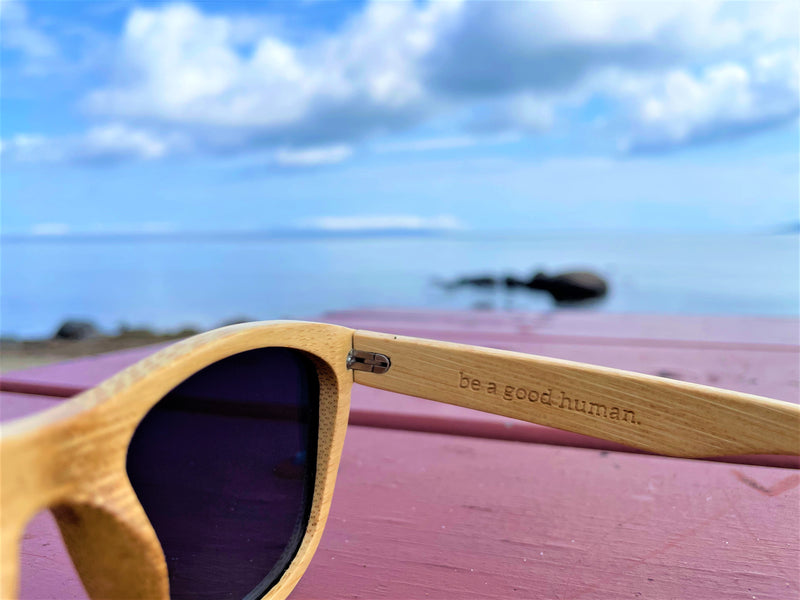 Tropical Paradise- All Wood Pink/Gold Polarized SAARA Shades