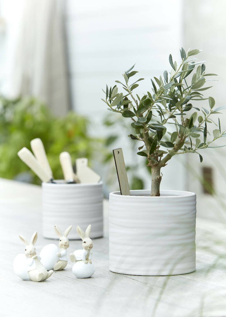 Set of 3 White Lisen Plant Pots