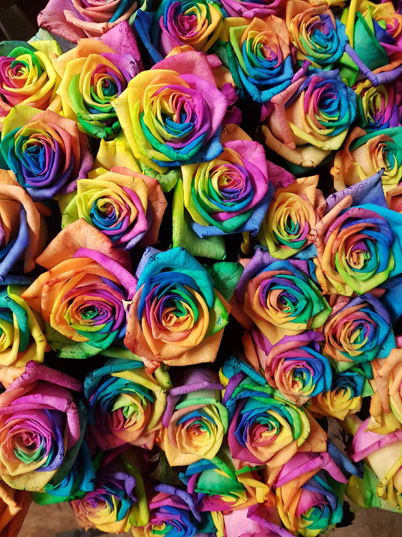 Rainbow Roses Tote Bag