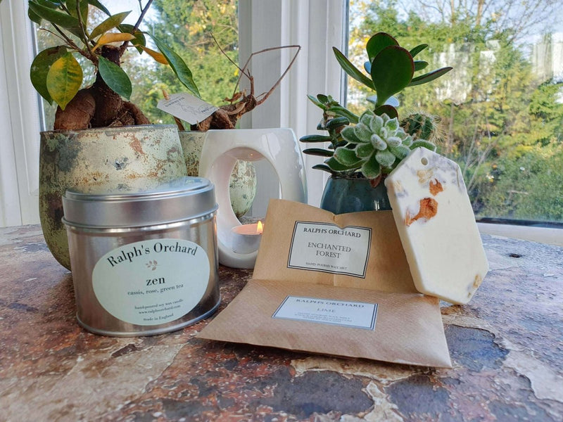Thoughtful gift set | Natural candle | Botanical wax melts