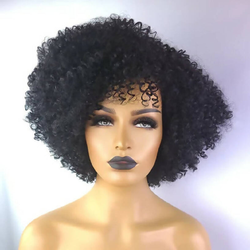 Afro Kinky Curly Wigs with Afro Hairline, 10", 1B